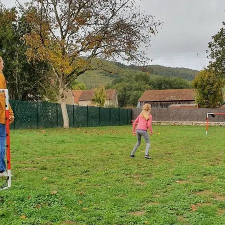 Sandre, Fish And Dom wakacyjny